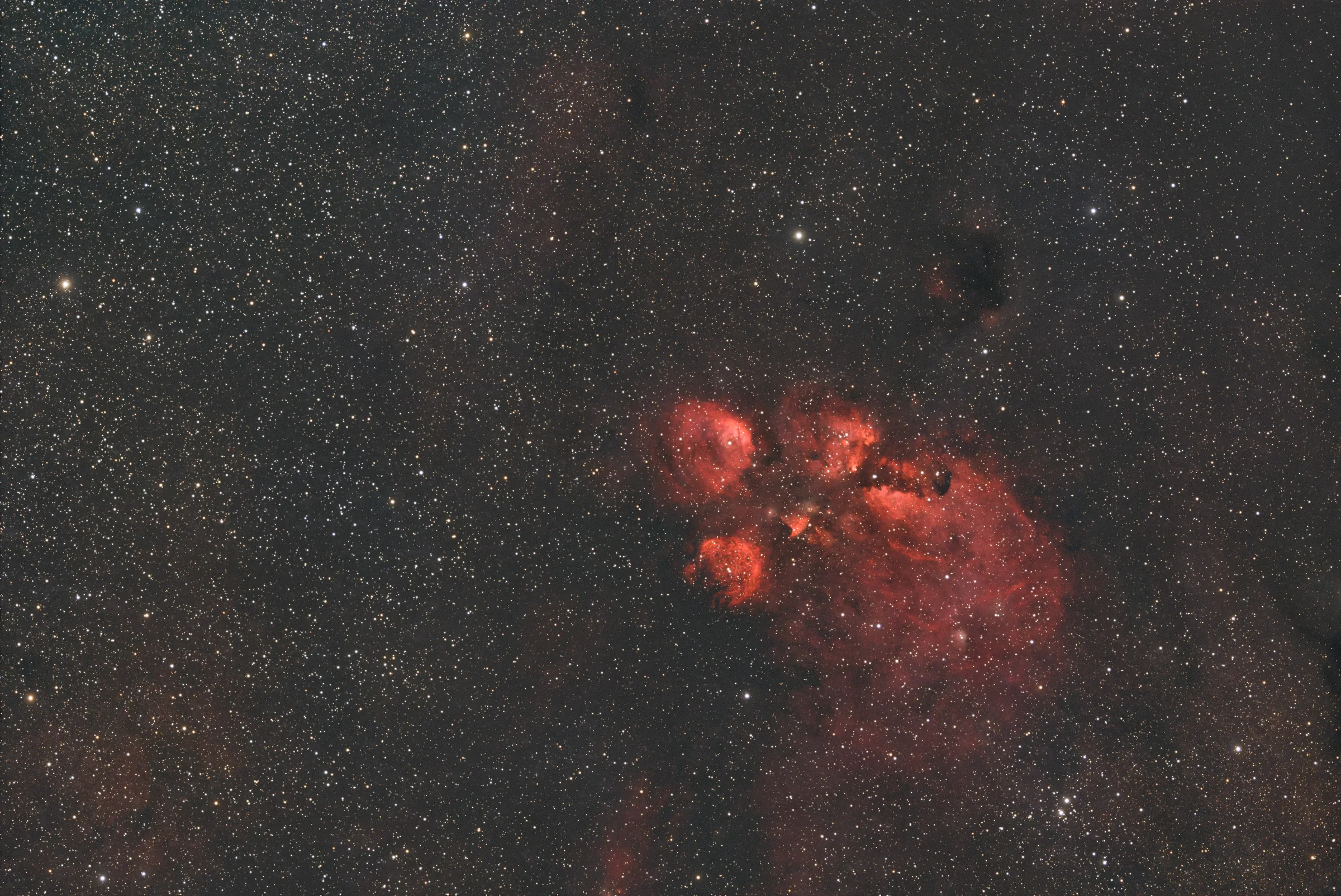 The Cat's Paw Nebula, a red emission nebula whose bright knots form a paw-like shape.